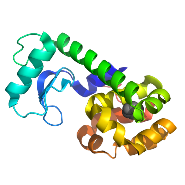 Project 10470 and T4 Lysozyme - Folding@home