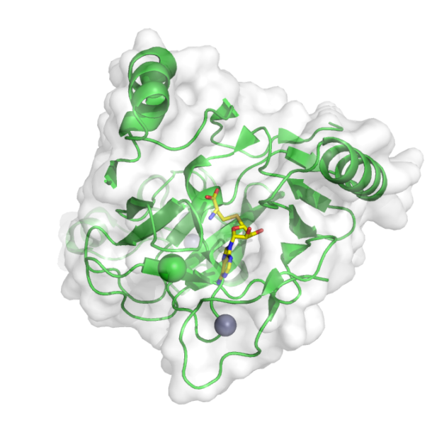 protein methyltransferase NSD1 (PDB ID 4h12)