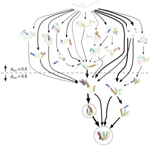 MSM for the ACBP protein, illustrating some of the primary transitions. (Voelz et al)