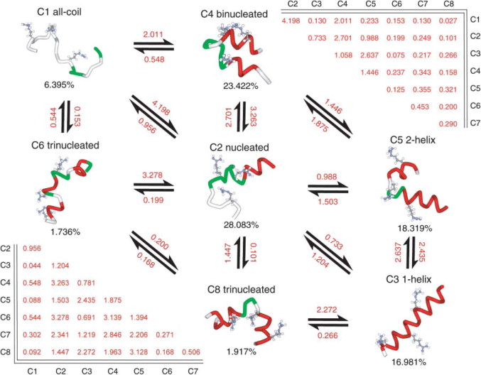 Figure 12 from the Sorin and Pande 2005 paper on helix-coil kinetics, showing complex kinetics between a surprising variety of non-helical states as well.