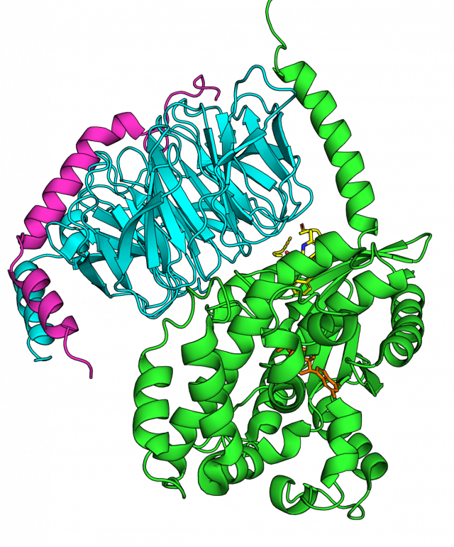 Peptide and protein design Foldinghome